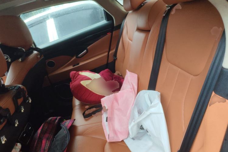 Used Geely Auto Emgrand GT 2016 2.4L Zunya Model Left Rear Seat