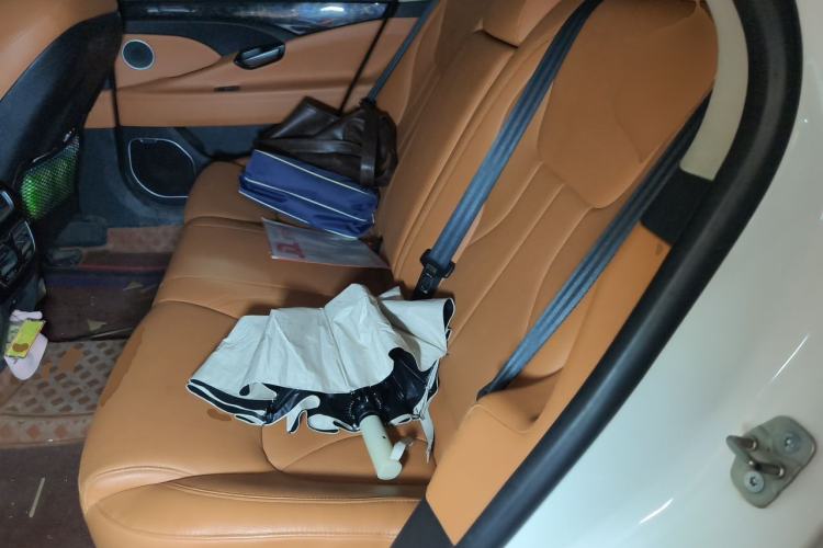 Used Geely Auto Emgrand GT 2016 1.8T Zunya Model Left Rear Seat