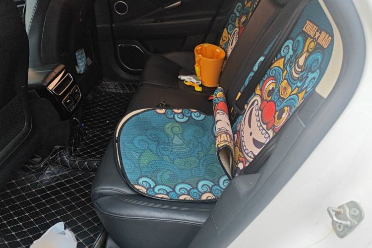Used Geely Auto Emgrand GT 2016 2.4L Zunya Model Left Rear Seat