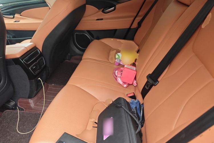 Used Geely Auto Emgrand GT 2016 1.8T Zunya Model Left Rear Seat