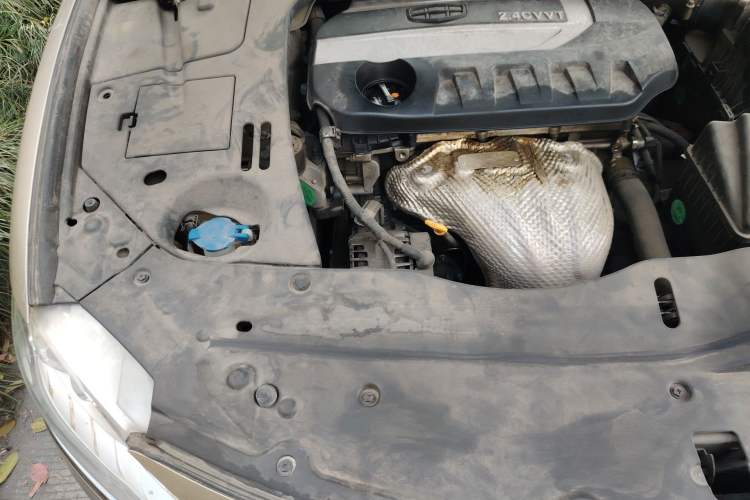 Used Geely Auto Emgrand GT 2016 2.4L Zunya Model Engine Bay Right
