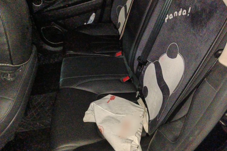 Used Geely Auto Emgrand GT 2017 2.4L Luxury Model Left Rear Seat