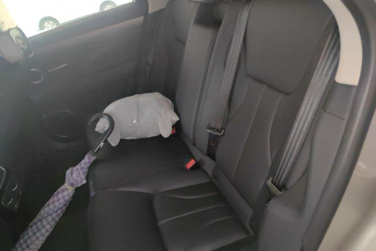 Used Geely Auto Emgrand GT 2017 2.4L Luxury Model Left Rear Seat