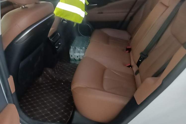 Used Geely Auto Emgrand GT 2017 1.8T Luxury Model Left Rear Seat
