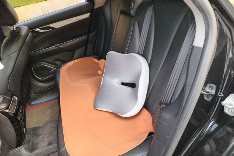 Used Geely Auto Emgrand GT 2018 1.5T MHEV Shining Edition Left Rear Seat