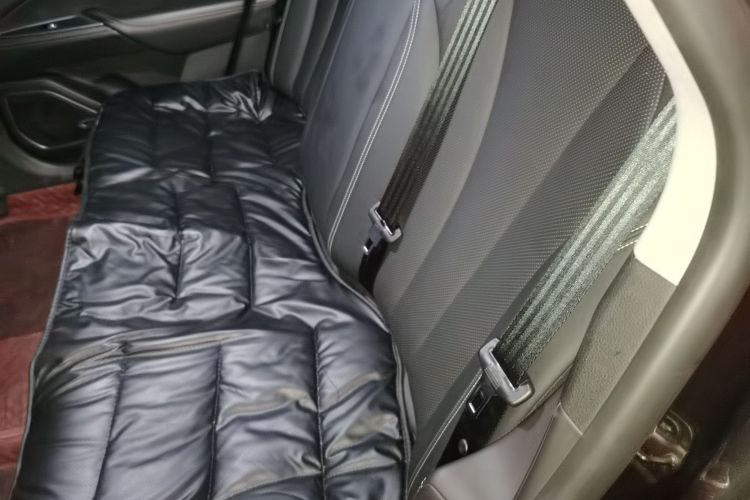 Used Geely Auto Emgrand GT 2018 1.5T MHEV Yaoxiang Edition Left Rear Seat
