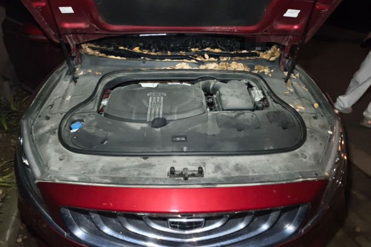 Used Geely Auto Emgrand GT 2018 1.5T MHEV Yaozun Edition Engine Bay