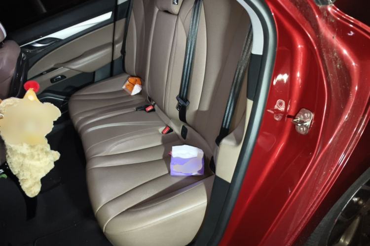 Used Geely Auto Emgrand GT 2018 1.5T MHEV Yaozun Edition Left Rear Seat