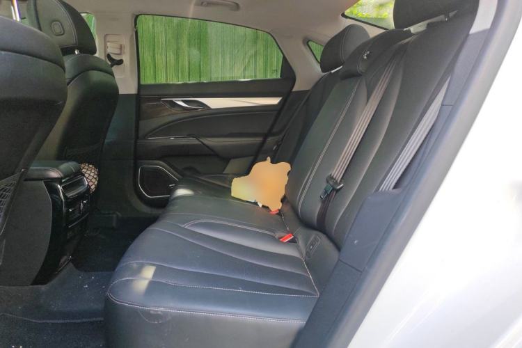 Used Geely Auto Emgrand GT 2018 1.5T MHEV Yaoxiang Edition Left Rear Seat