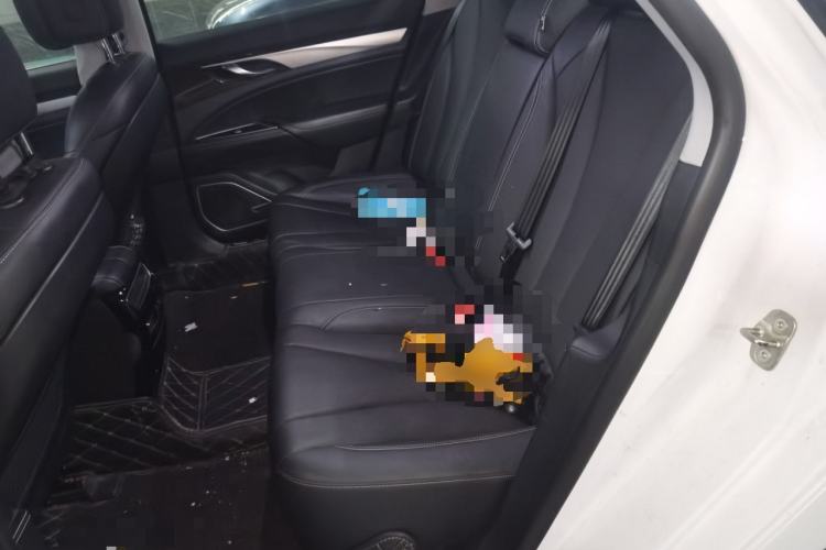 Used Geely Auto Emgrand GT 2018 1.5T MHEV Yaoxiang Edition Left Rear Seat