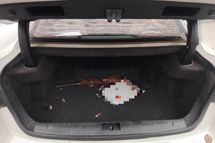 Used Geely Auto Emgrand GT 2018 1.5T MHEV Yaozhi Edition Trunk