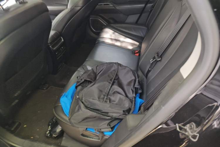 Used Geely Auto Emgrand GT 2020 1.5T MHEV Yaoxiang Edition Left Rear Seat