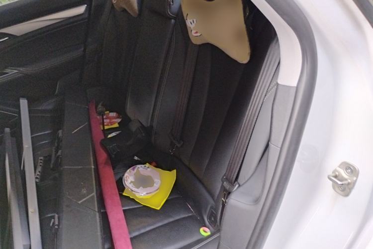 Used Geely Auto Emgrand GT 2020 1.5T MHEV Yaoxiang Edition Left Rear Seat