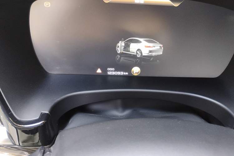 Used Geely Auto Emgrand GT 2020 1.5T MHEV Yaoxiang Edition Odometer Close Up