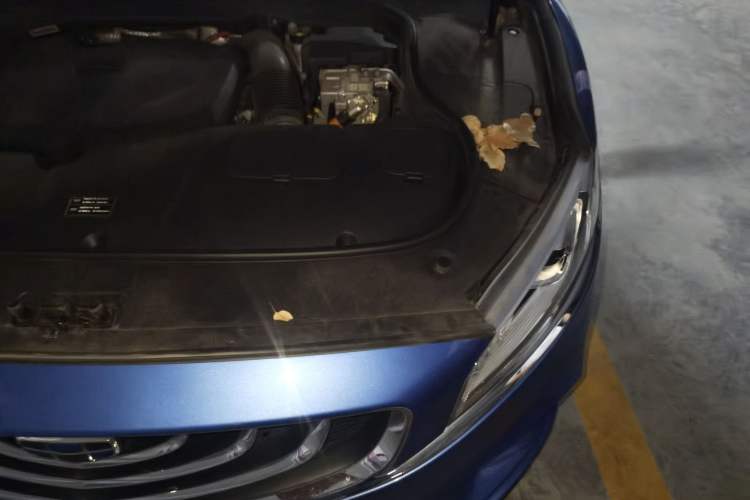 Used Geely Auto Emgrand GT New Energy 2018 1.5T PHEV Yaoxiang Edition Engine Bay Left