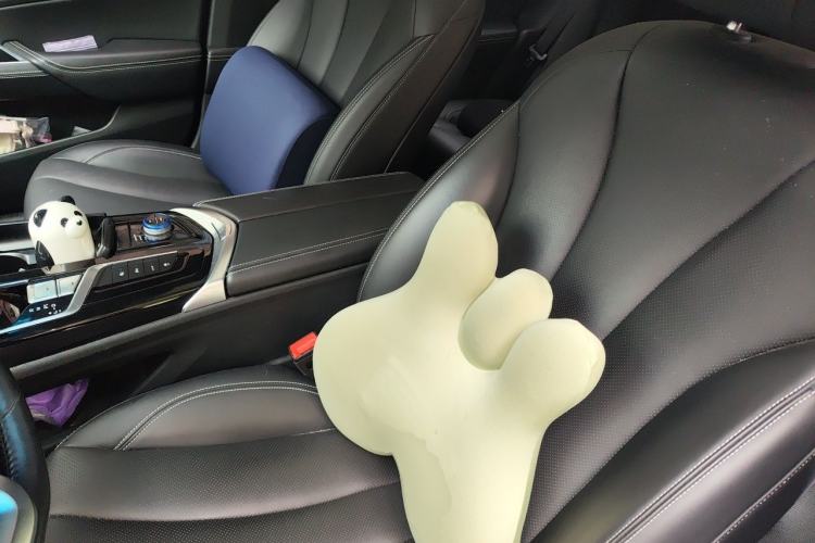 Used Geely Auto Emgrand GT New Energy 2018 1.5T PHEV Yao Ling Edition Left Front Seat