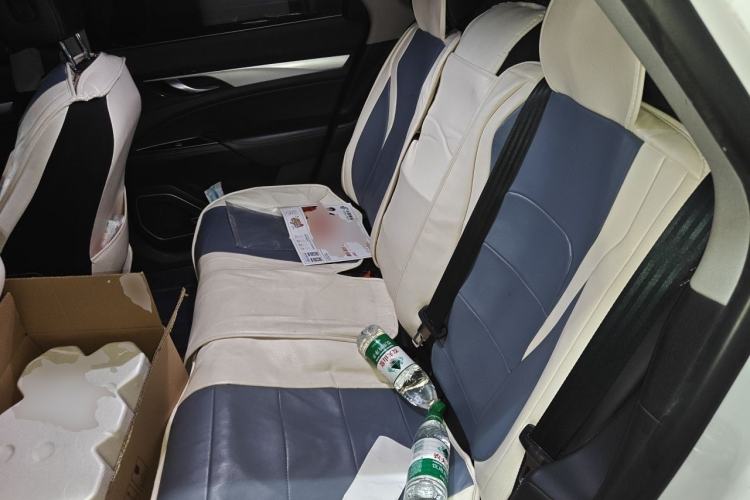 Used Geely Auto Emgrand GT New Energy 2018 1.5T PHEV Yaoxiang Edition Left Rear Seat