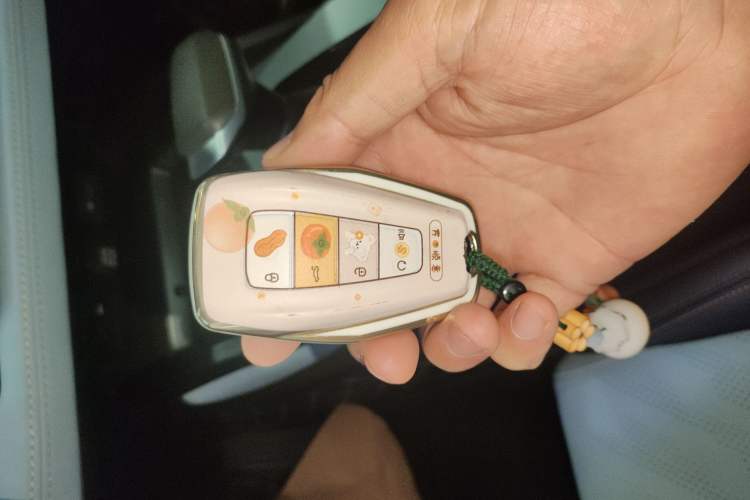 Used Geely Auto Emgrand L 2022 1.4T CVT Ultimate Model Vehicle Key