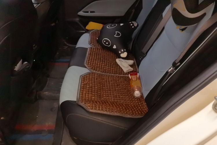 Used Geely Auto Emgrand L 2022 1.4T CVT Ultimate Model Left Rear Seat