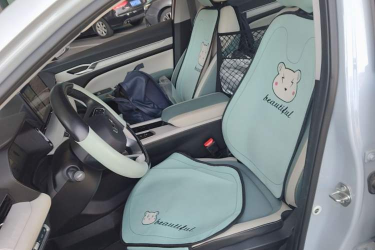 Used Geely Auto Emgrand L HiP 2022 1.5TD-DHT Pro 100KM Super Rui Left Front Seat
