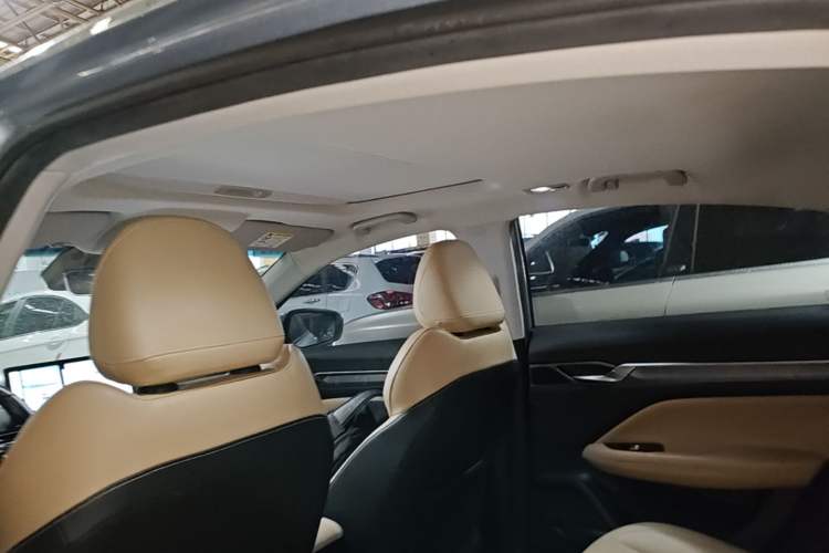 Used Geely Auto Emgrand L HiP 2024 Champion Edition 1.5TD-DHT Pro 100KM Excellence Model Headliner