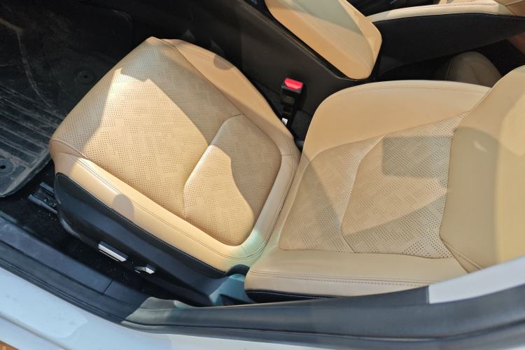 Used Geely Auto Emgrand L HiP 2024 Champion Edition 1.5TD-DHT Pro 100KM Excellence Model Left Front Seat
