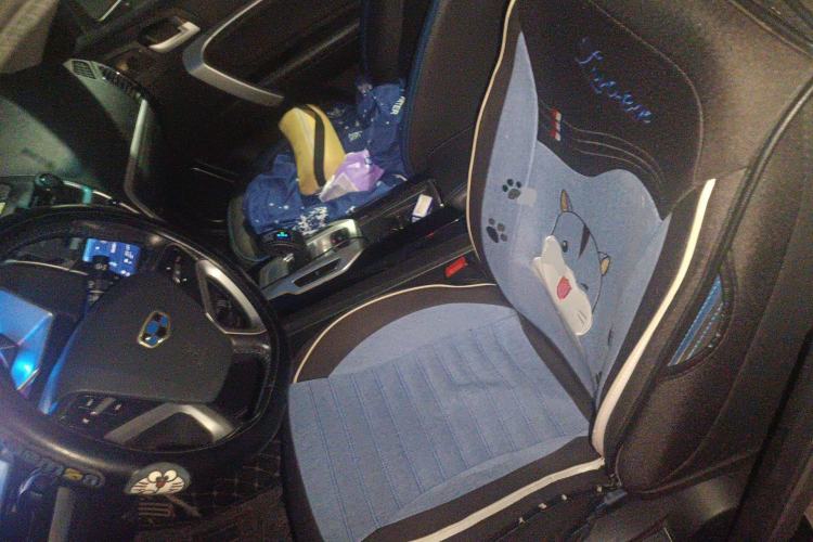 Used Geely Auto Emgrand New Energy 2016 EV Elite Model Left Front Seat