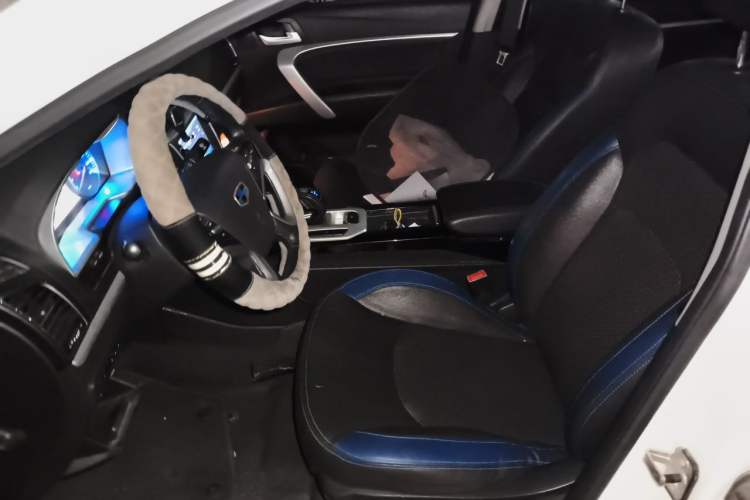 Used Geely Auto Emgrand New Energy 2016 EV Elite Model Left Front Seat