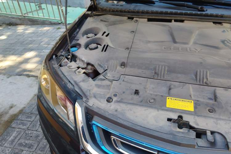 Used Geely Auto Emgrand New Energy 2017 EV300 Elite Model Engine Bay Right