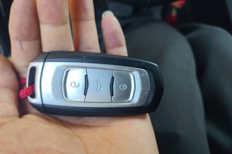 Used Geely Auto Emgrand New Energy 2017 EV300 Elite Model Vehicle Key