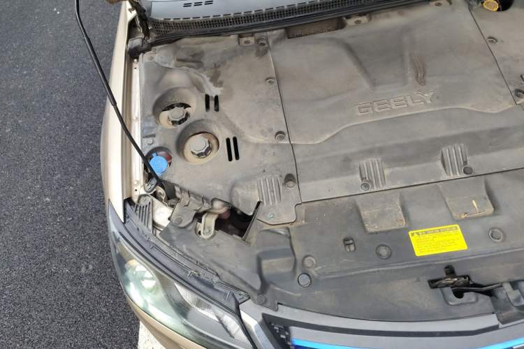 Used Geely Auto Emgrand New Energy 2017 EV300 Elite Model Engine Bay Right