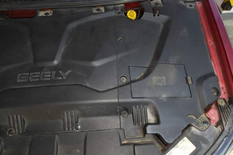 Used Geely Auto Emgrand New Energy 2017 EV300 Elite Model Engine Bay Left