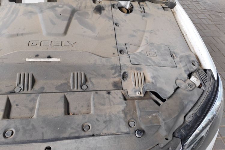Used Geely Auto Emgrand New Energy 2017 EV300 Elite Model Engine Bay Left