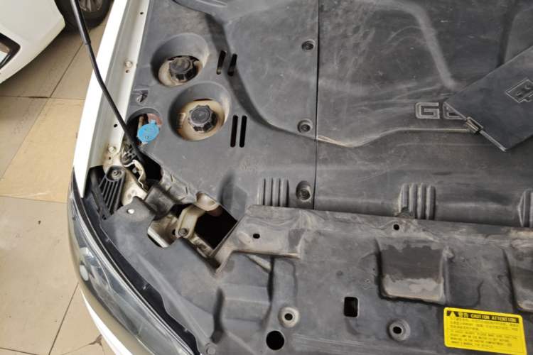 Used Geely Auto Emgrand New Energy 2017 EV300 Elite Model Engine Bay Right