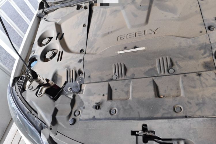 Used Geely Auto Emgrand New Energy 2017 EV300 Elite Model Engine Bay Right