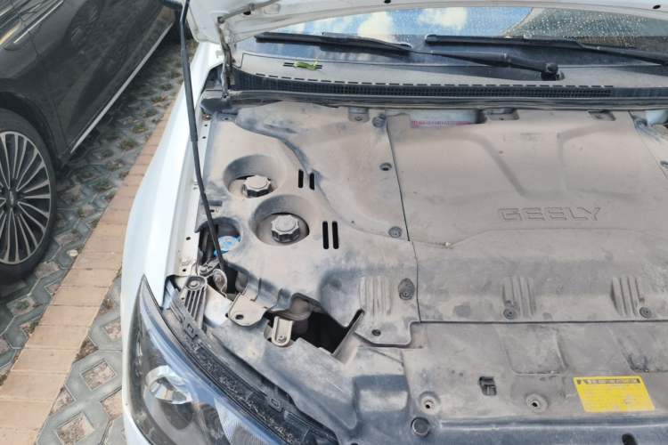 Used Geely Auto Emgrand New Energy 2017 EV300 Elite Model Engine Bay Right