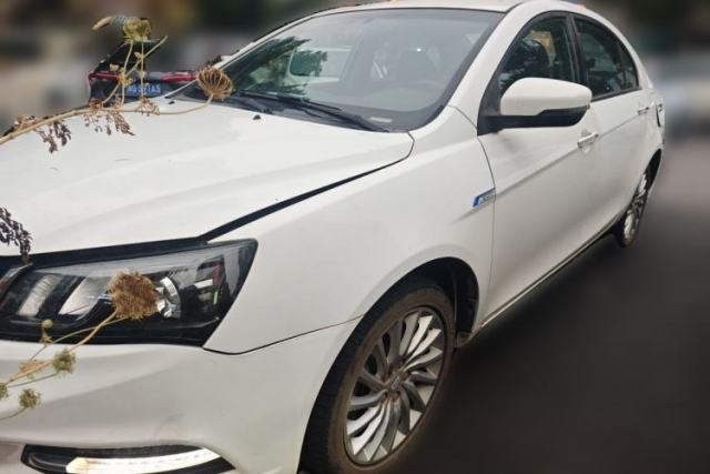 Used Geely Auto Emgrand New Energy 2017 EV300 Ambition Model