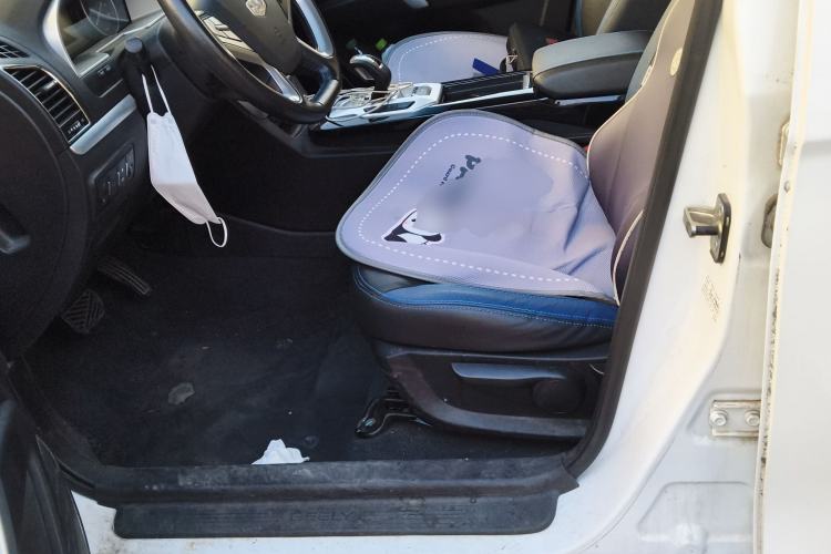 Used Geely Auto Emgrand New Energy 2017 EV300 Elite Model Left Front Seat