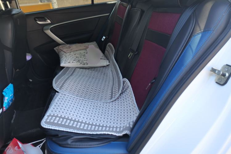 Used Geely Auto Emgrand New Energy 2017 EV300 Elite Model Left Rear Seat