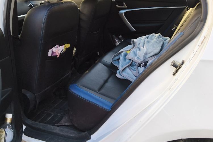 Used Geely Auto Emgrand New Energy 2017 EV300 Elite Model Left Rear Seat