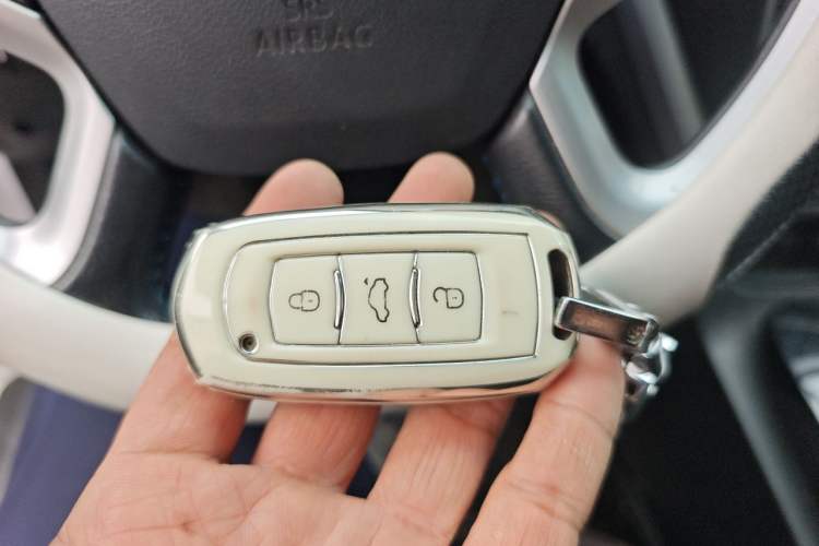 Used Geely Auto Emgrand New Energy 2017 EV300 Elite Model Vehicle Key