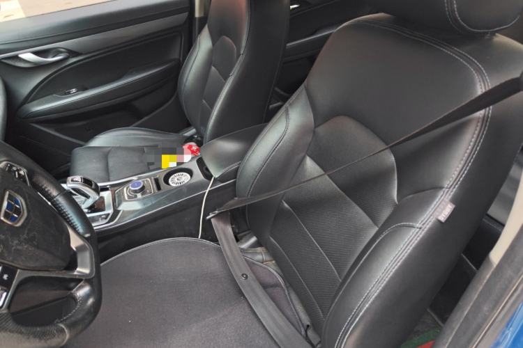 Used Geely Auto Emgrand New Energy 2018 EV450 Elite Model Left Front Seat