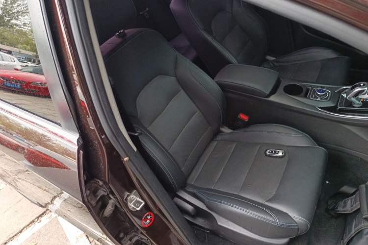 Used Geely Auto Emgrand New Energy 2018 EV450 Prestige Model Right Front Seat