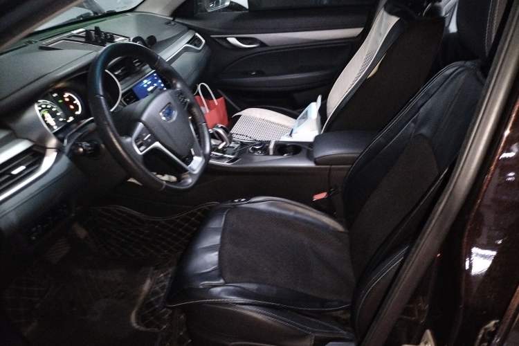 Used Geely Auto Emgrand New Energy 2018 EV450 Elite Model Left Front Seat