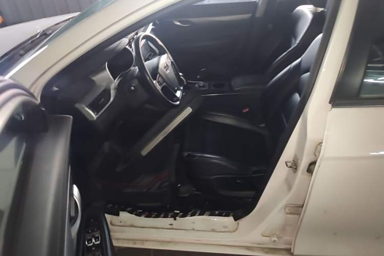 Used Geely Auto Emgrand New Energy 2018 EV450 Elite Model Left Front Seat