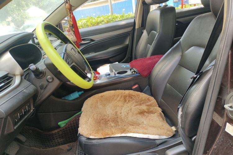 Used Geely Auto Emgrand New Energy 2018 EV450 Elite Model Left Front Seat