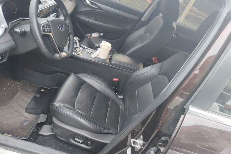 Used Geely Auto Emgrand New Energy 2018 EV450 Prestige Model Left Front Seat