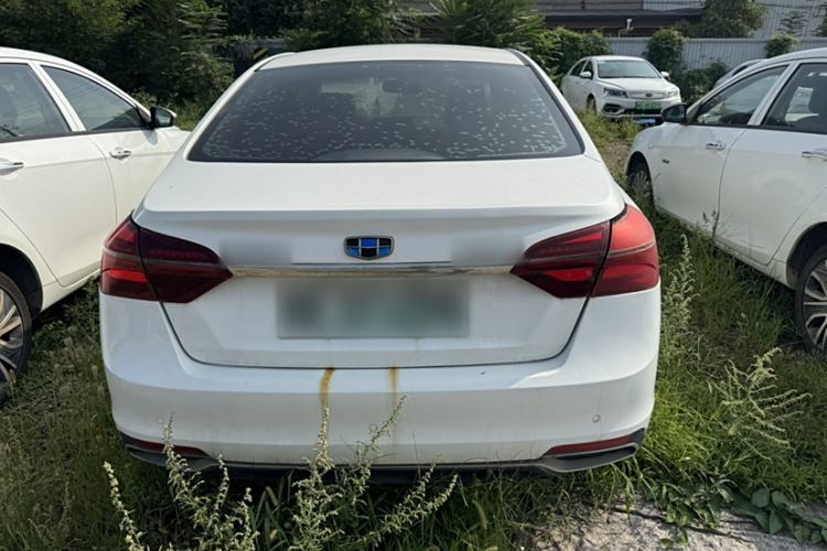 Used Geely Auto Emgrand New Energy 2018 EV450 Ambition Model Exterior 4