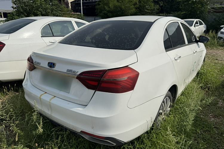 Used Geely Auto Emgrand New Energy 2018 EV450 Ambition Model Exterior 5