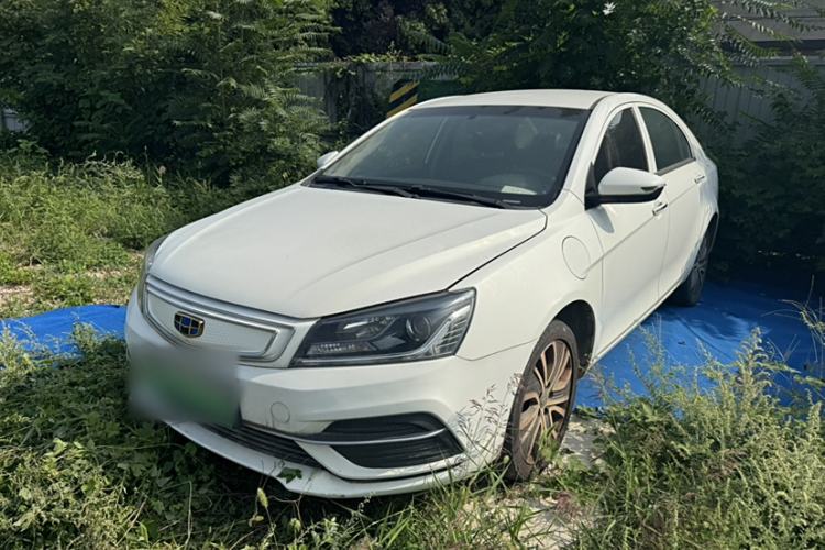 Used Geely Auto Emgrand New Energy 2018 EV450 Ambition Model Exterior 6